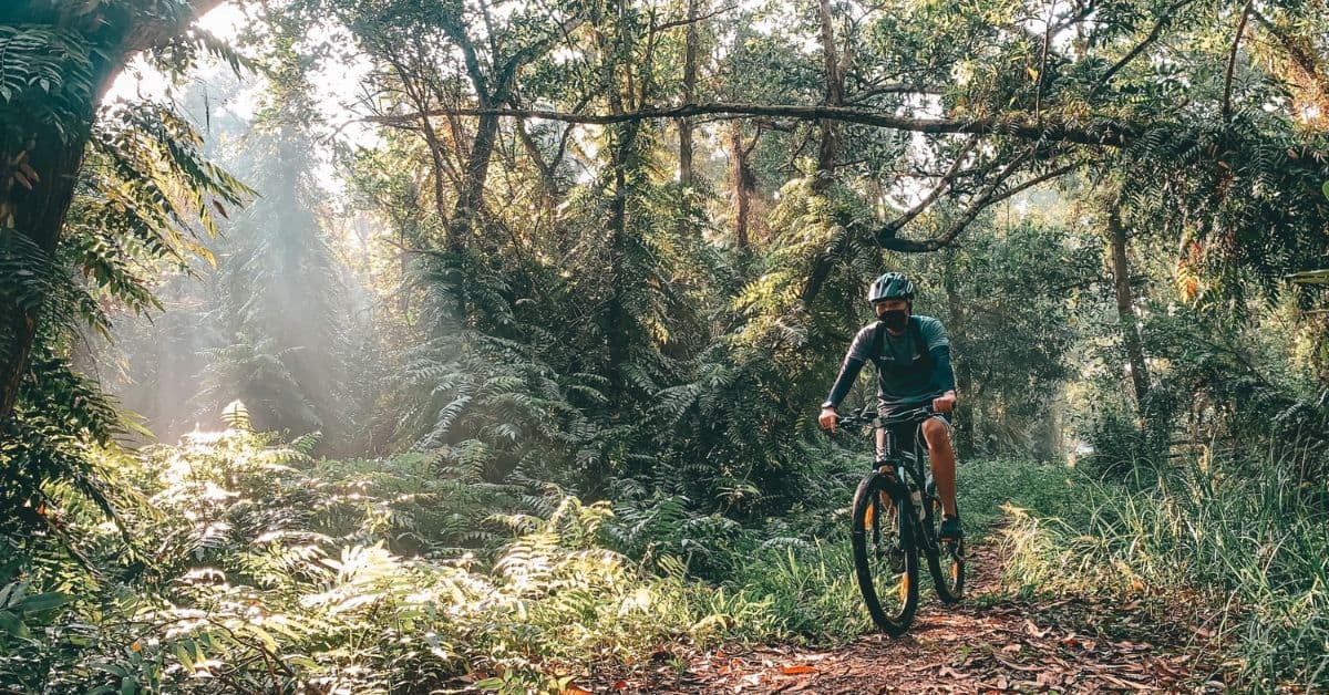 Du lịch đạp xe xuyên đường rừng