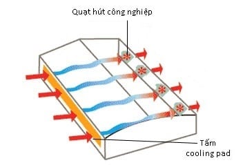 Nguyên lý hoạt động của hệ thống làm mát bằng tấm cooling pad